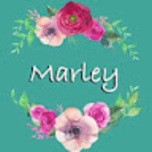 Meet your Posher, Marley